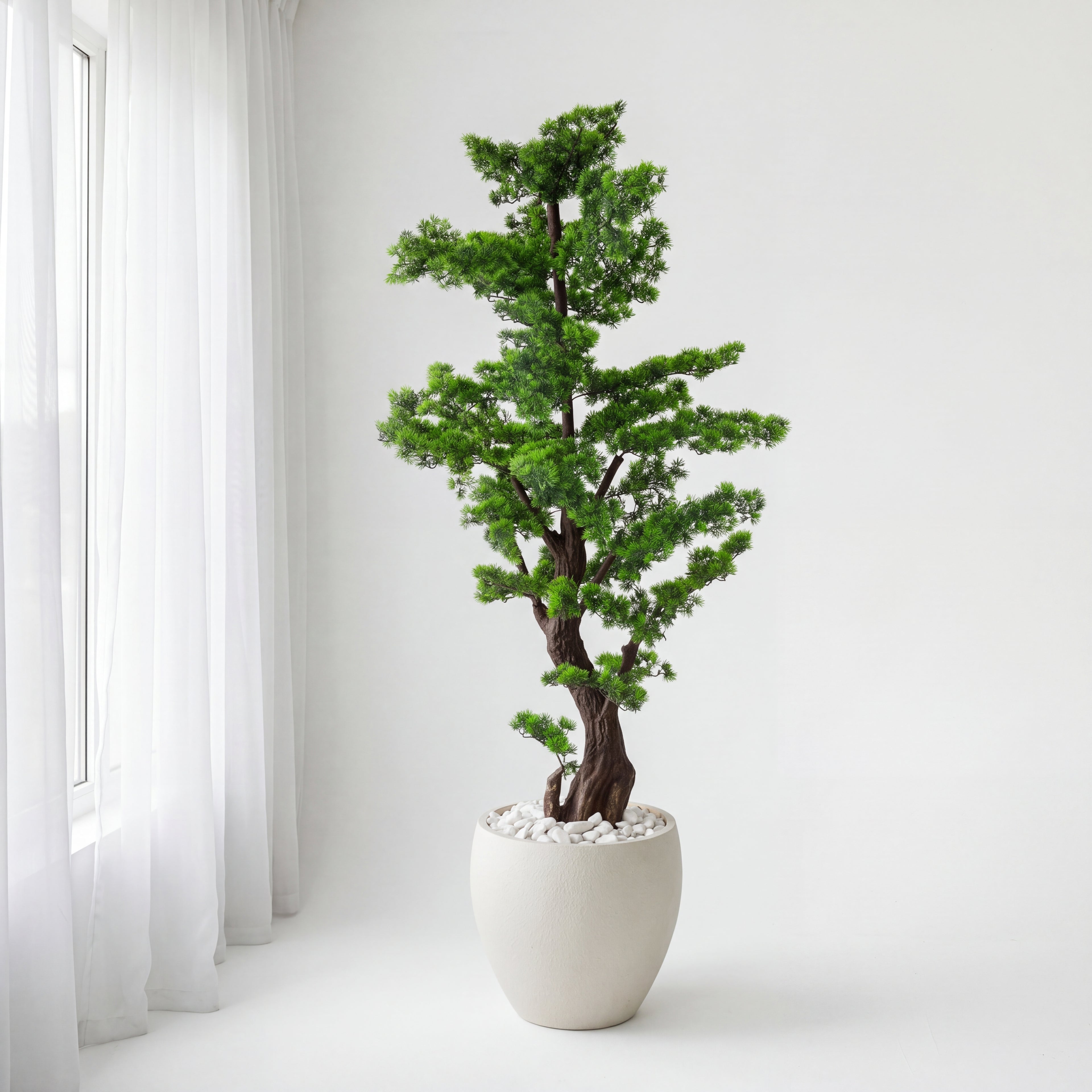 Elegant evergreen