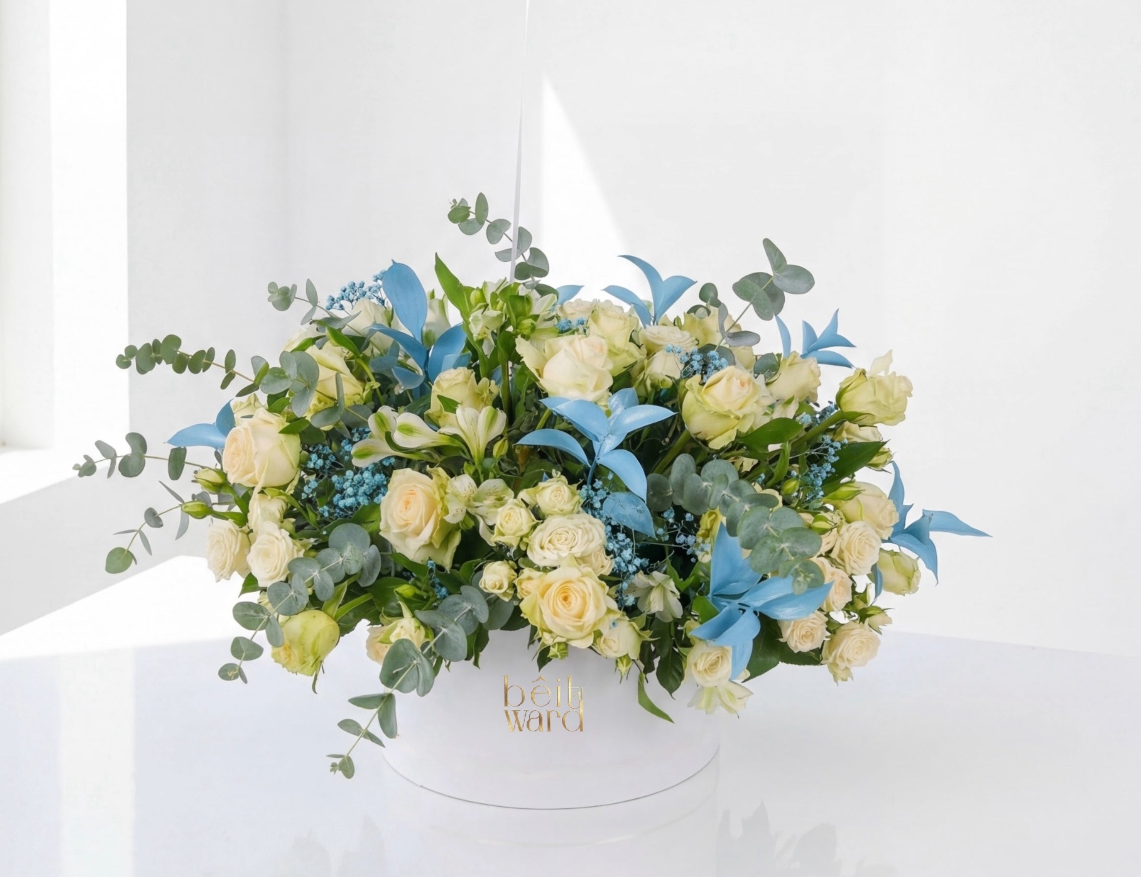 White&blue