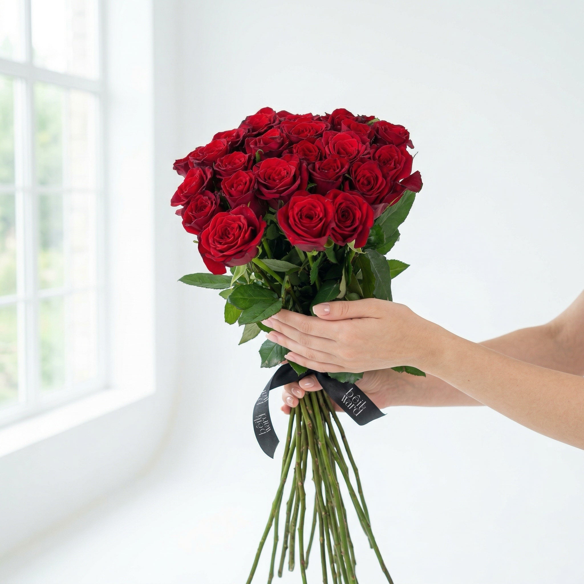 All rose