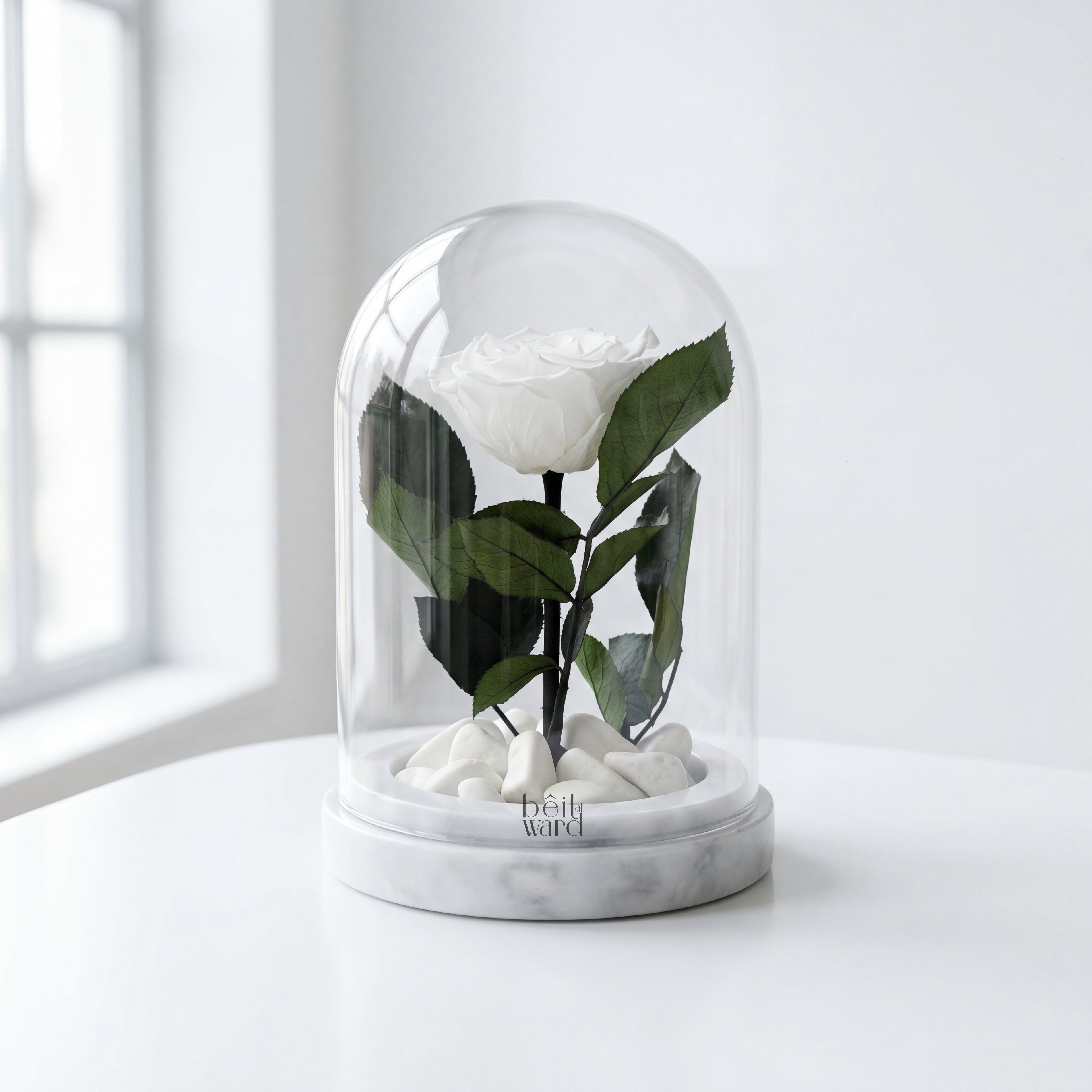 Fleur en blanc