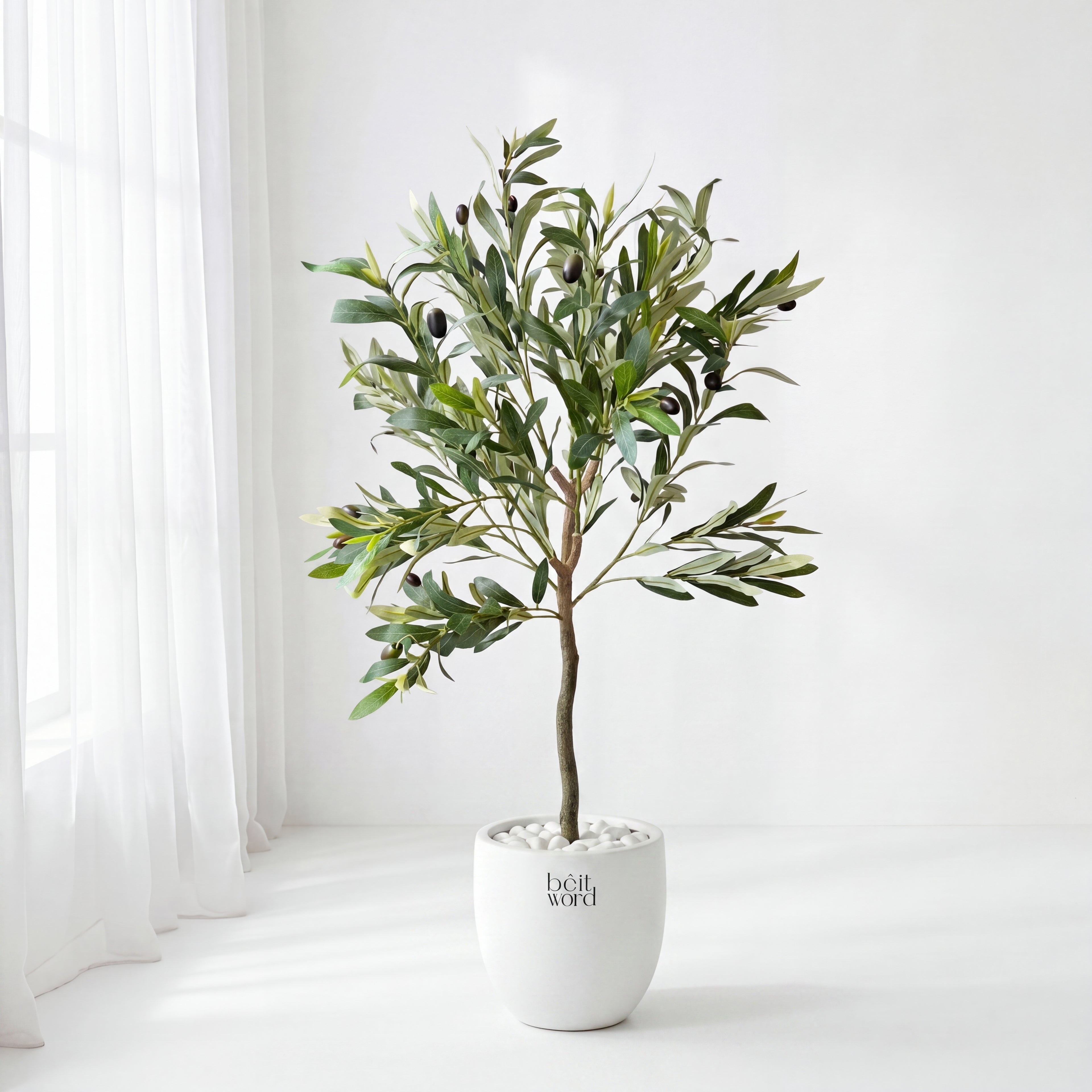 Olive serenity